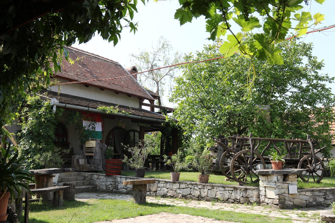 Bed and Breakfast Pataky Borporta Tarcal Exterior foto