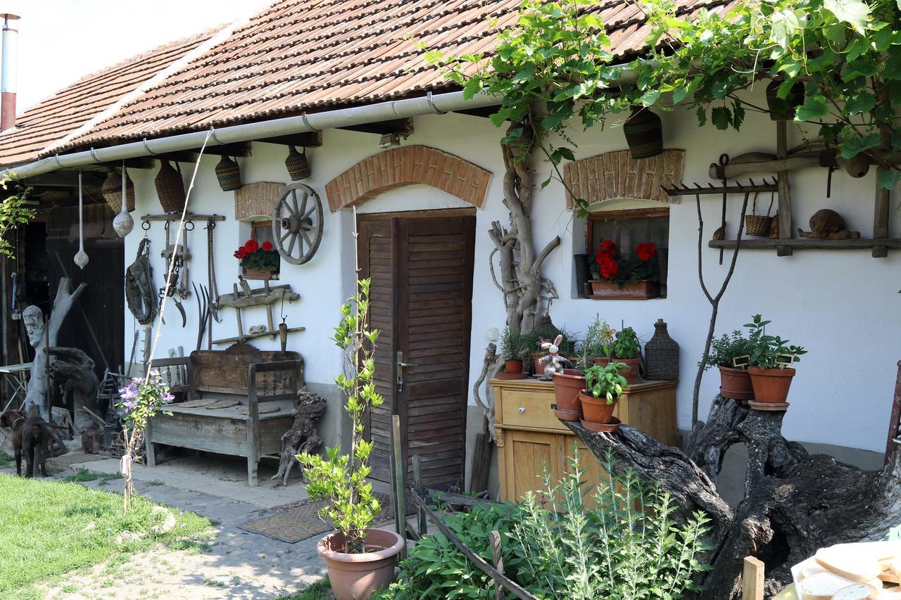 Bed and Breakfast Pataky Borporta Tarcal Exterior foto