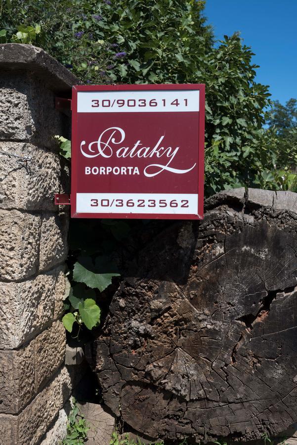 Bed and Breakfast Pataky Borporta Tarcal Exterior foto