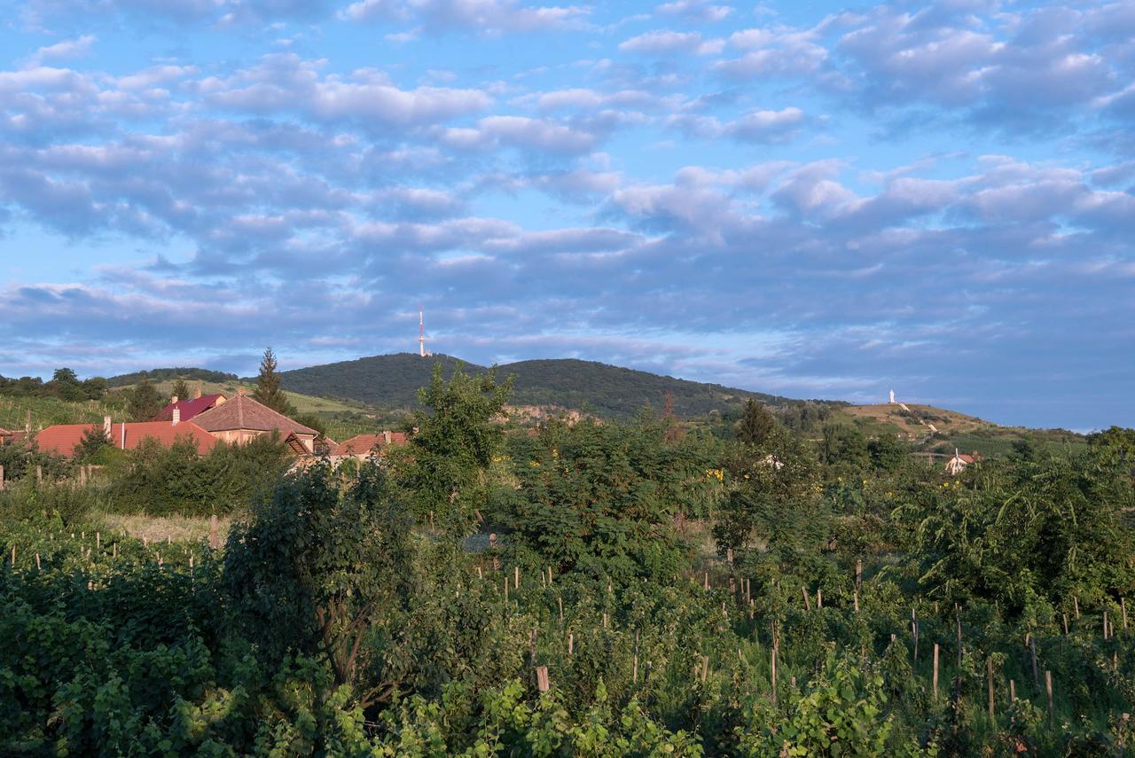 Bed and Breakfast Pataky Borporta Tarcal Exterior foto