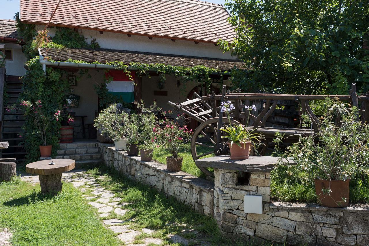 Bed and Breakfast Pataky Borporta Tarcal Exterior foto