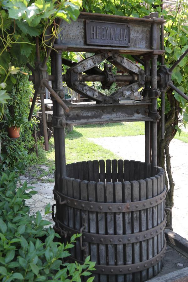 Bed and Breakfast Pataky Borporta Tarcal Exterior foto